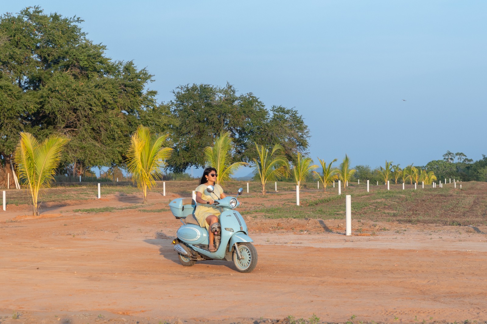 TERRENOS EN VENTA EN PUERTECITO, PUERTO ESCONDIDO , OAXACA